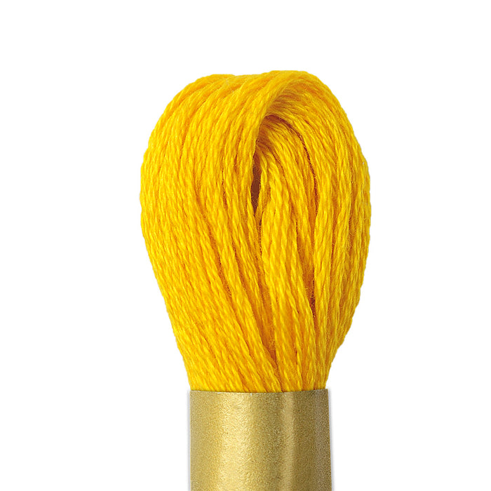 Maxi Mouline 1 - [product type] - [product vendor] - Modista