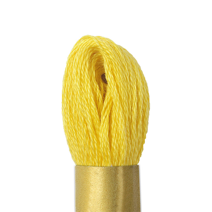 Maxi Mouline 1 - [product type] - [product vendor] - Modista