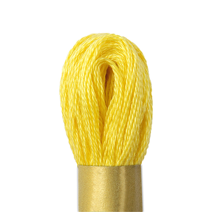 Maxi Mouline 1 - [product type] - [product vendor] - Modista