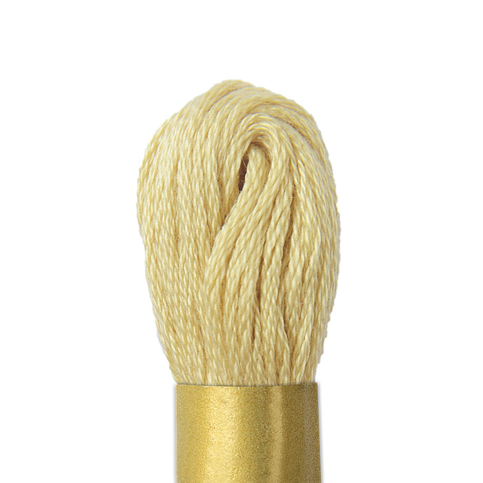 Maxi Mouline 3 - [product type] - [product vendor] - Modista