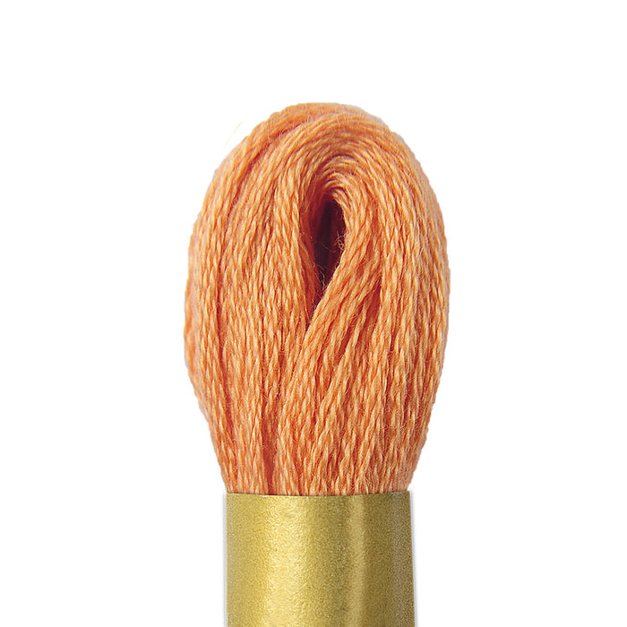 Maxi Mouline 3 - [product type] - [product vendor] - Modista