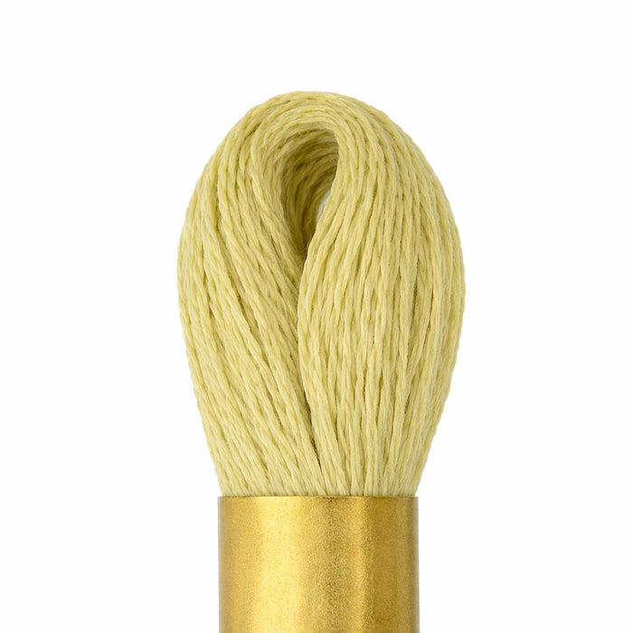 Maxi Mouline 3 - [product type] - [product vendor] - Modista